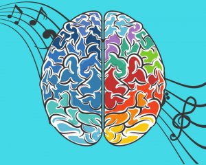 cervello musica