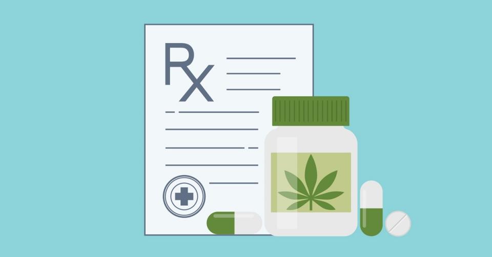Cannabis is a powerful cancer fighter image