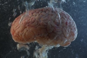 https://i2.wp.com/www.pianetablunews.it/wp-content/uploads/2017/09/59a85a252c83c_crop.jpg?resize=300%2C200