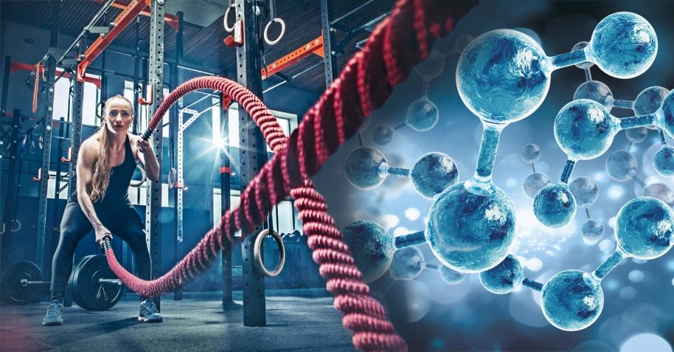 The key molecule that makes exercise effective image