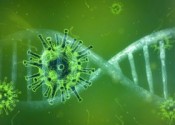 Come distinguere l'infezione da Coronavirus da una Sindrome Virale comune 
