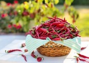 I benefici del peperoncino per la salute di cuore e cervello 