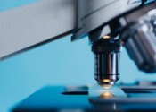 Il significato della malattia e la sua interpretazione 